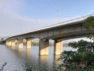 Unidirectional Carbon Fiber Reinforced Beam Bridge
